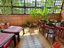 Pandan Valley (D21), Condominium #560570971